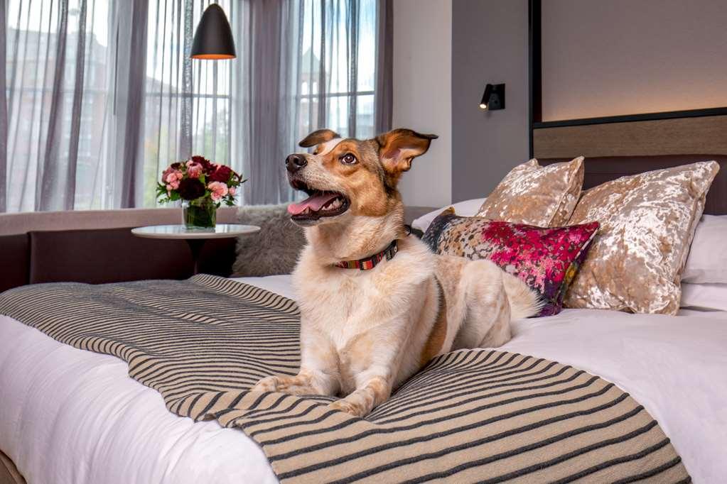 907 Main Square, Sonder By Marriott Bonvoy Hotel 4*